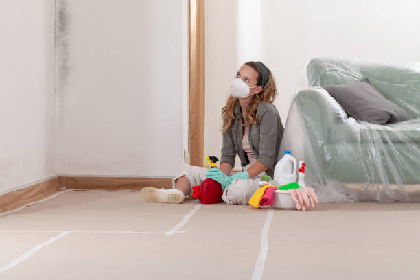 Reliable Mold Testing contractor in Wendell, NC by WQB Mold Removal